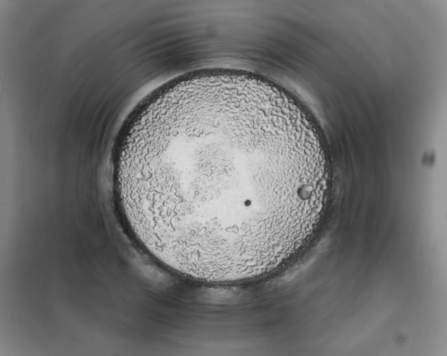X0000101111125200807241129