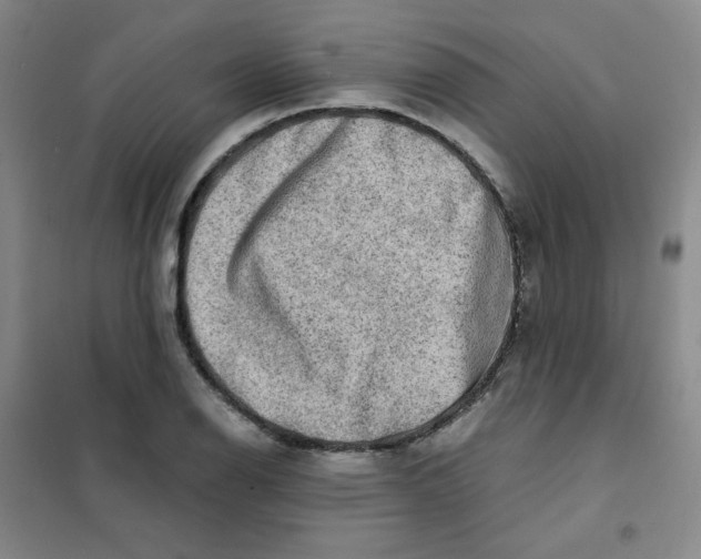 X0000101111126200807241129