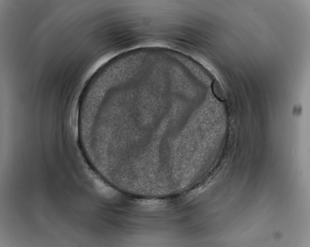 X0000101111127200807241129