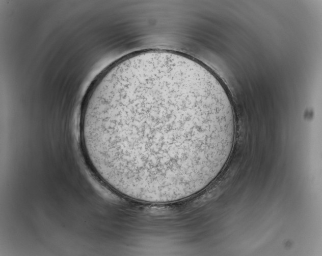 X0000101111128200807241129