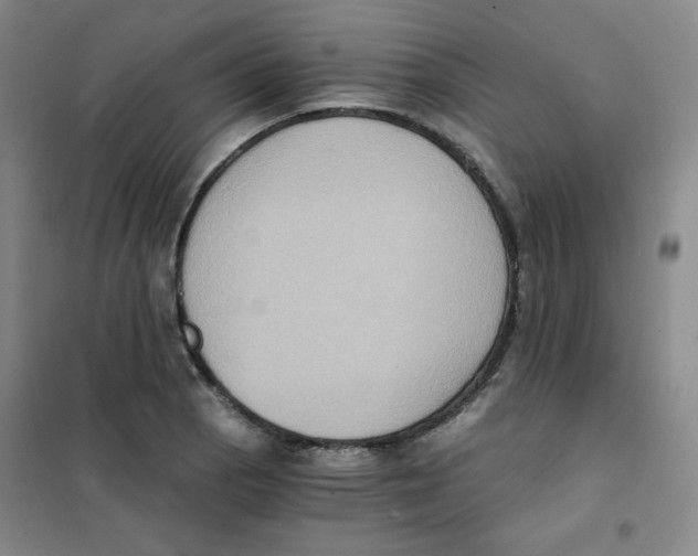 X0000101111129200807241129