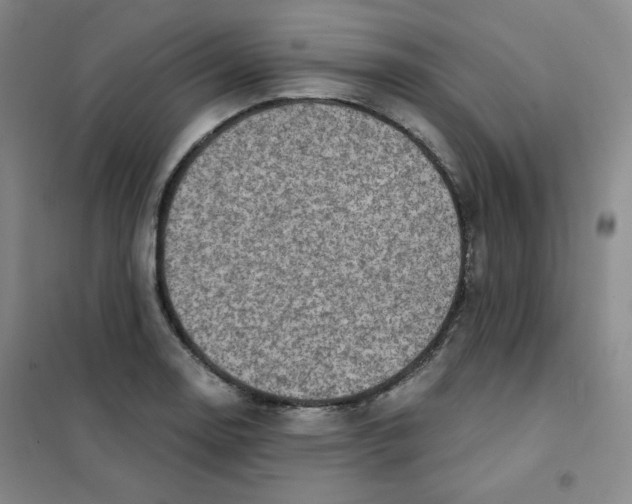 X0000101111130200807241129