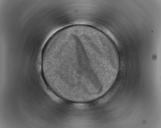 X0000101111132200807241129
