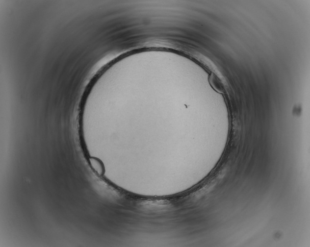 X0000101111133200807241129