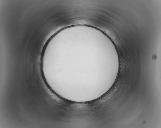 X0000101111134200807241129
