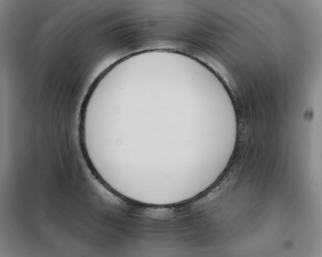 X0000101111135200807241129