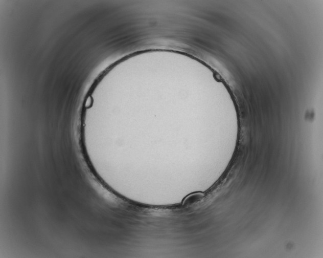 X0000101111136200807241129