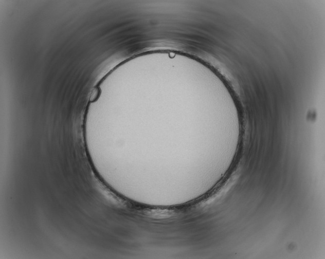X0000101111137200807241129