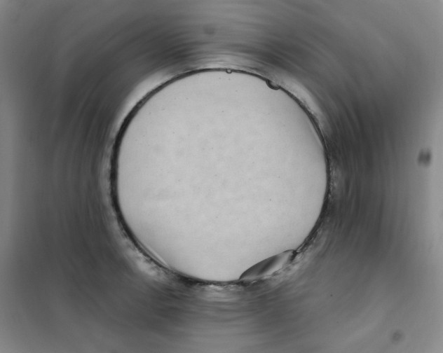 X0000101111138200807241130