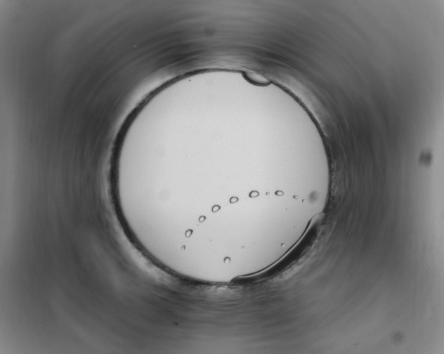 X0000101111139200807241130
