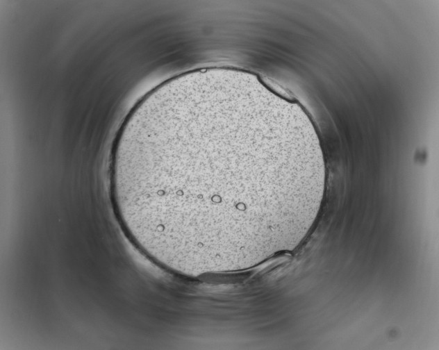 X0000101111143200807241130