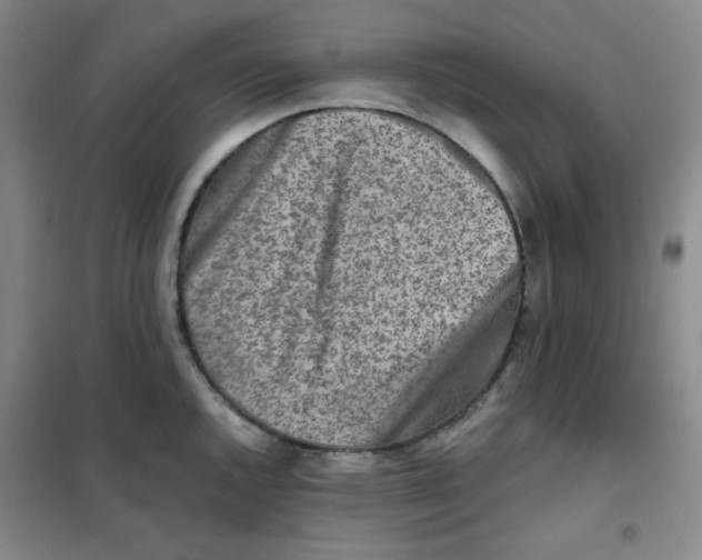 X0000101111144200807241130