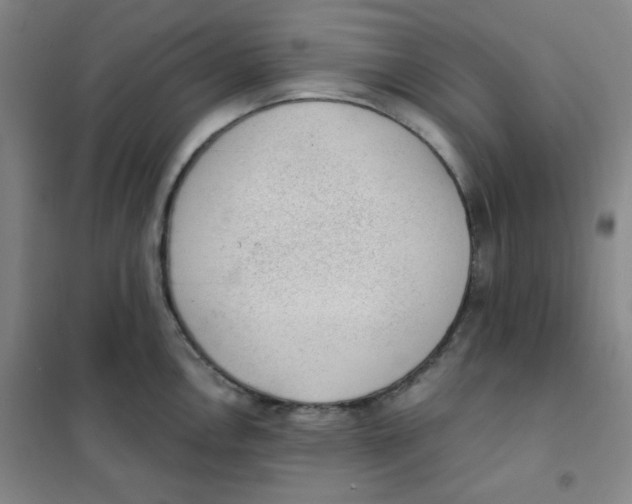 X0000101111146200807241130