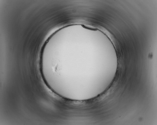 X0000101111147200807241130