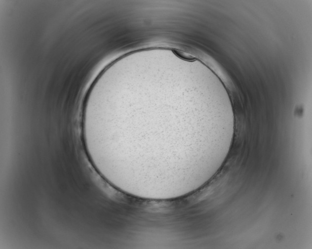 X0000101111148200807241130