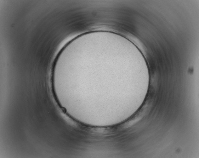 X0000101111149200807241130