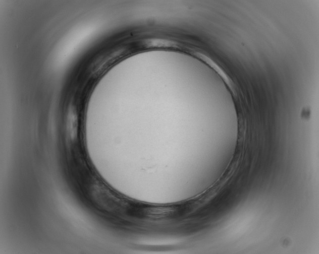 X0000101111151200807241130