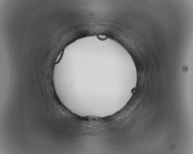 X0000101111153200807241129