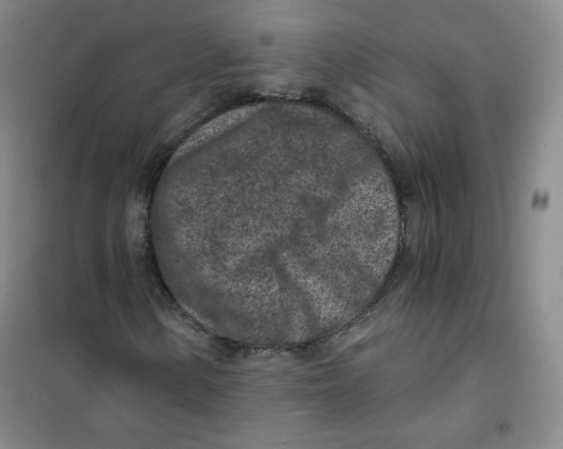 X0000101111154200807241129