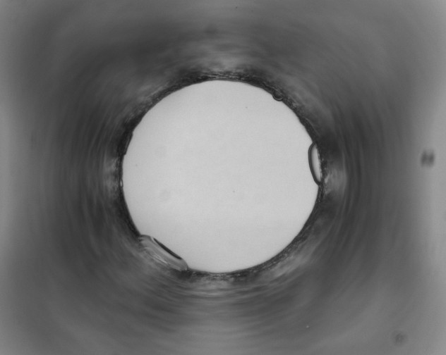 X0000101111156200807241129