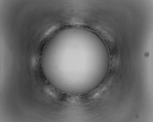 X0000101111157200807241129