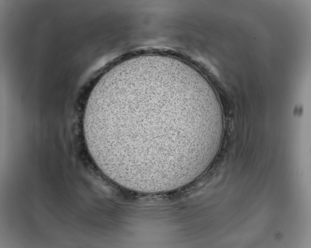 X0000101111159200807241129