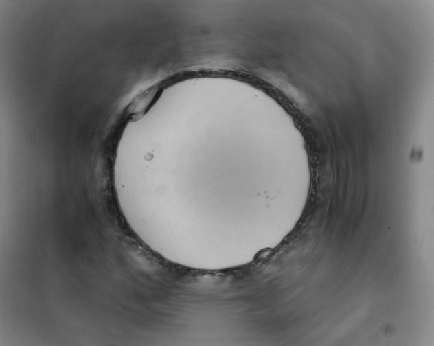 X0000101111160200807241129