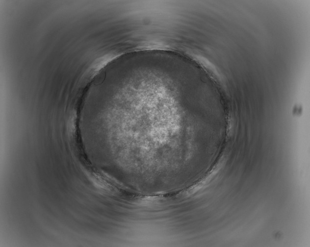 X0000101111161200807241129