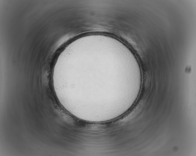 X0000101111163200807241129