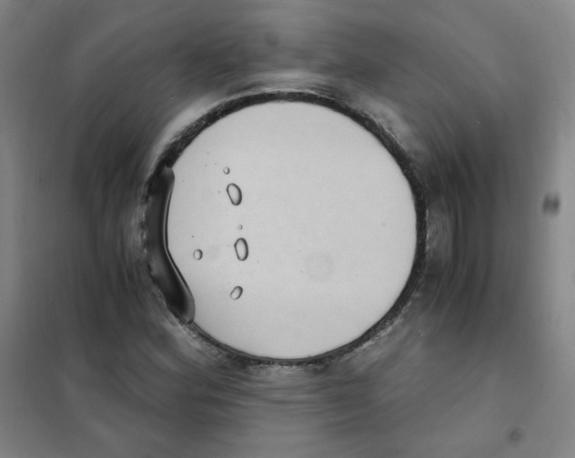 X0000101111164200807241129