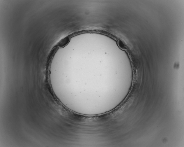 X0000101111165200807241129