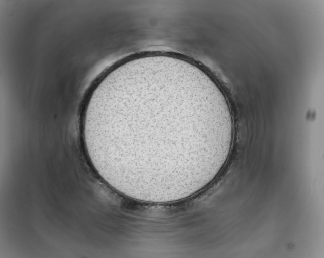 X0000101111167200807241129