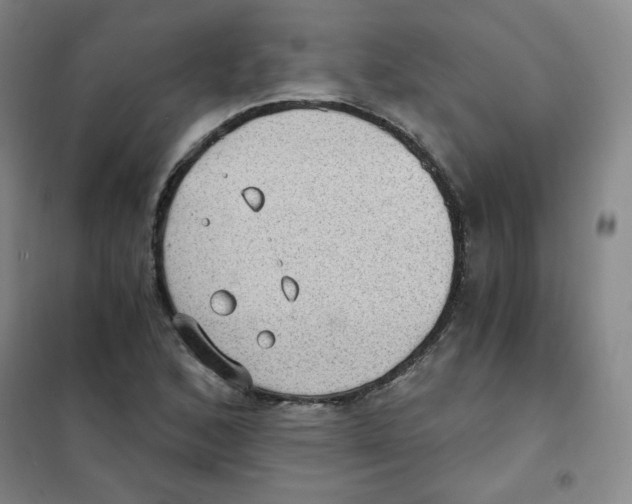 X0000101111168200807241129