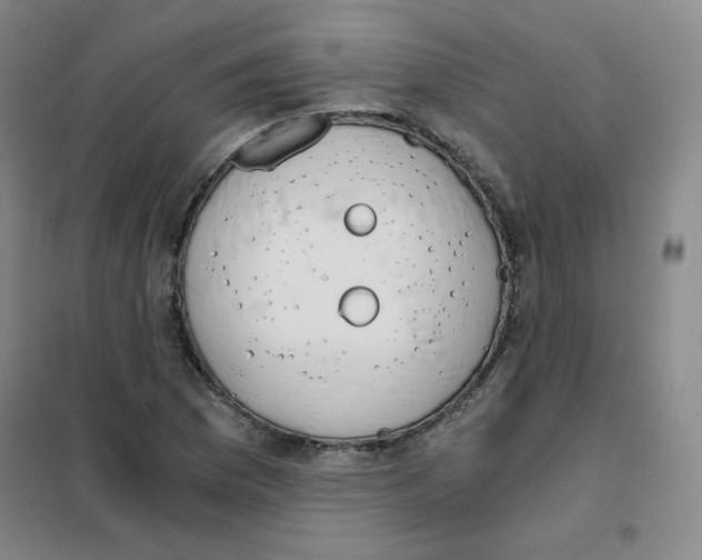 X0000101111169200807241129