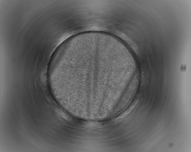 X0000101111170200807241129