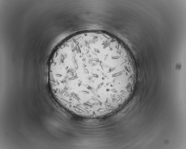 X0000101111171200807241129
