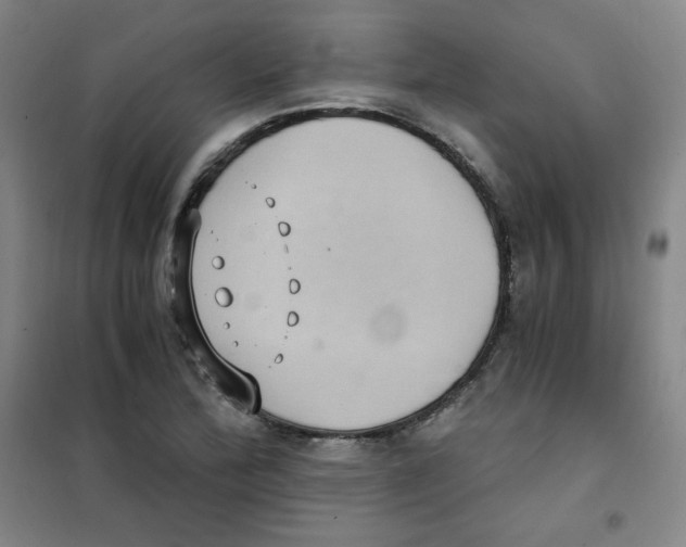 X0000101111172200807241129