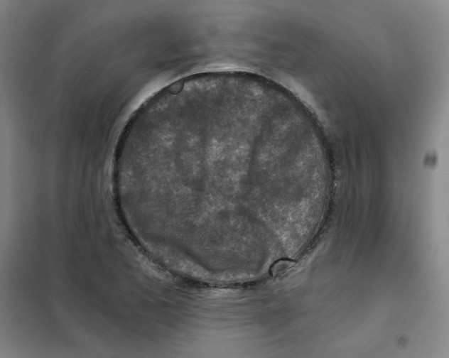 X0000101111173200807241129