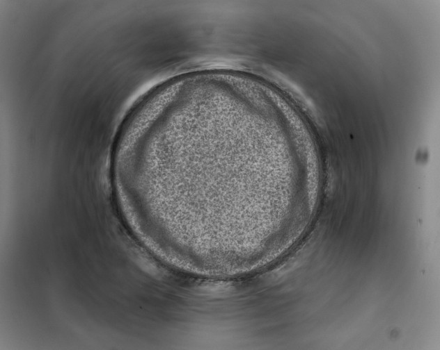 X0000101111174200807241129