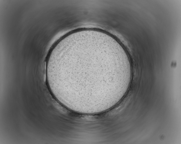 X0000101111175200807241129