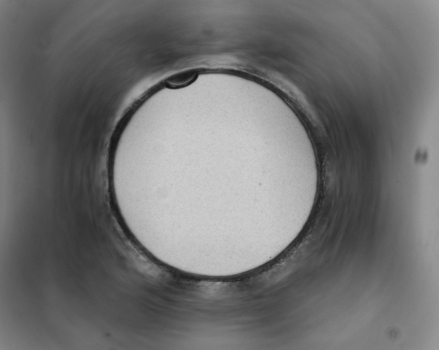 X0000101111176200807241129