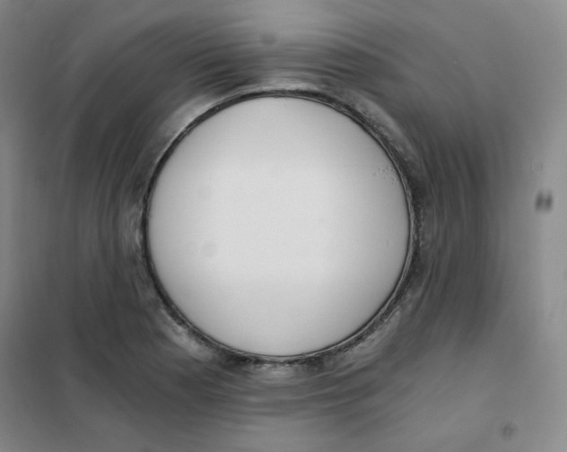 X0000101111177200807241129
