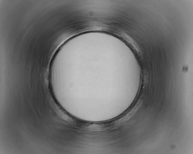 X0000101111178200807241129