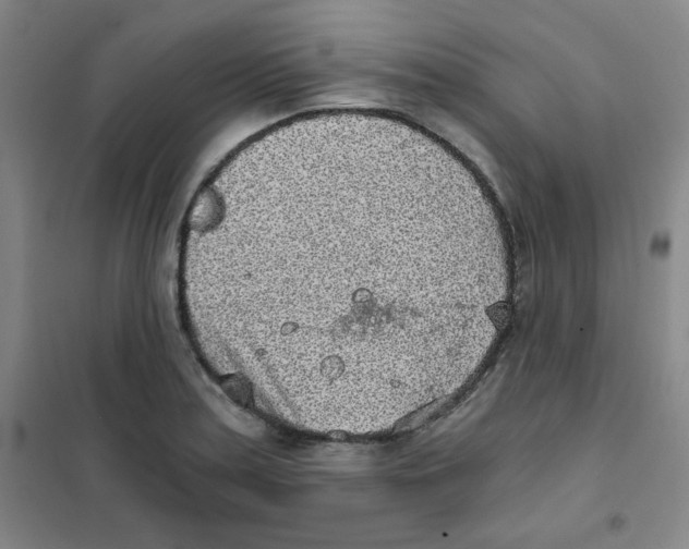 X0000101111179200807241129