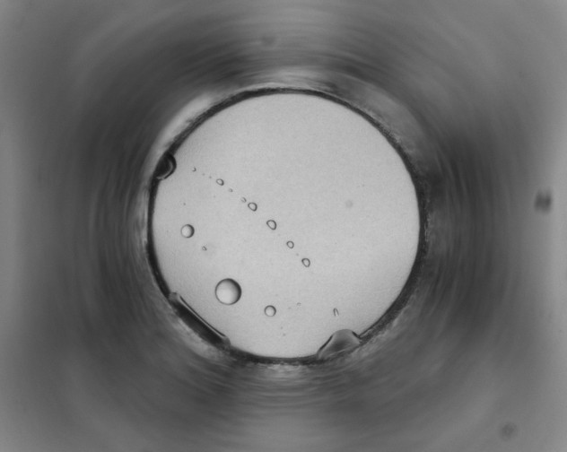 X0000101111180200807241129