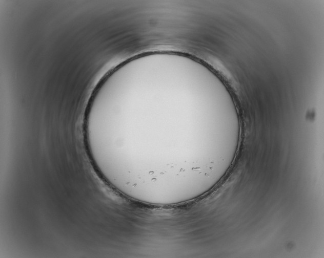 X0000101111181200807241129