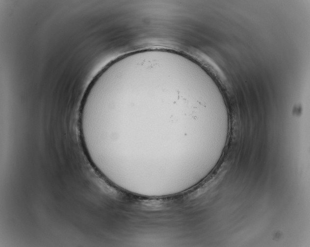 X0000101111182200807241129
