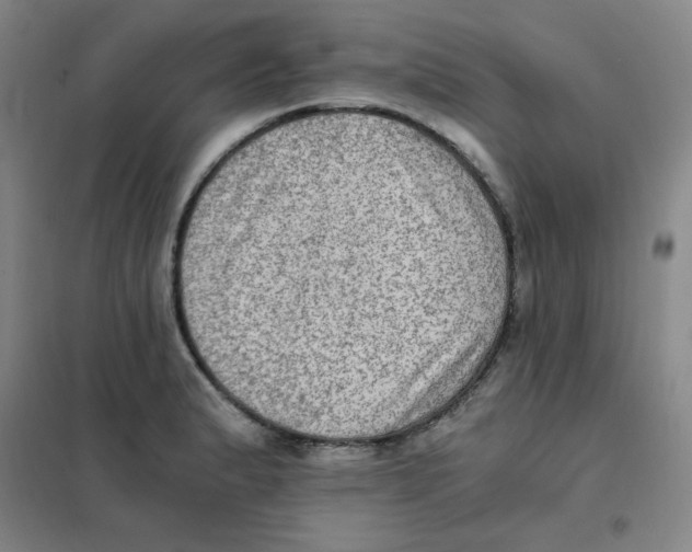 X0000101111183200807241129