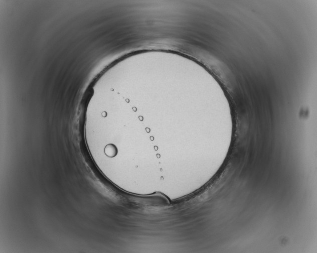 X0000101111184200807241129