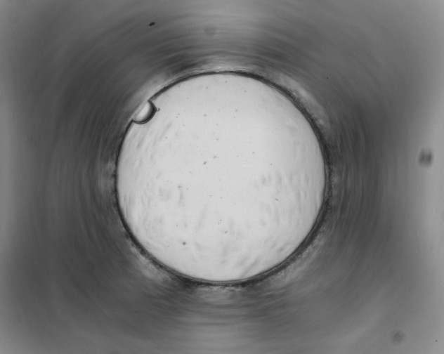 X0000101111185200807241129